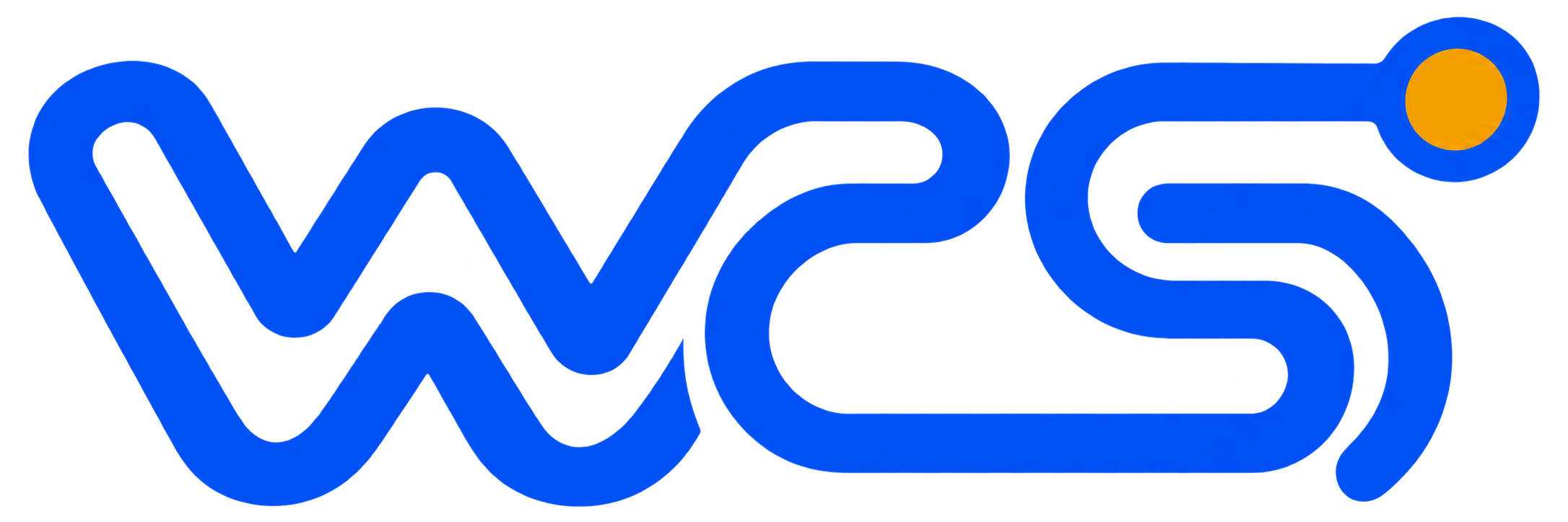 Wachter Computer Services